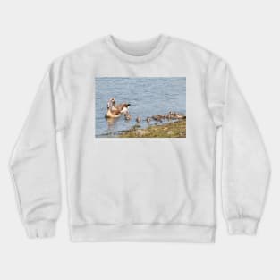 Goose Family Swimming in Kruger National Park, South Africa Crewneck Sweatshirt